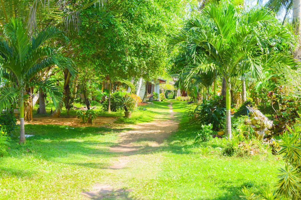 Shammie Guest House Hikkaduwa Esterno foto